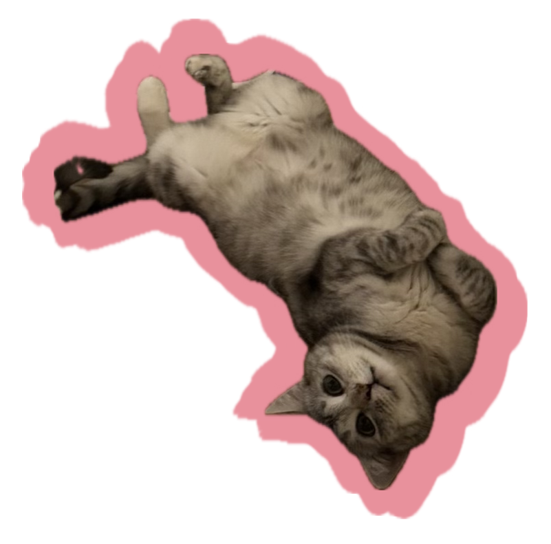 кот
