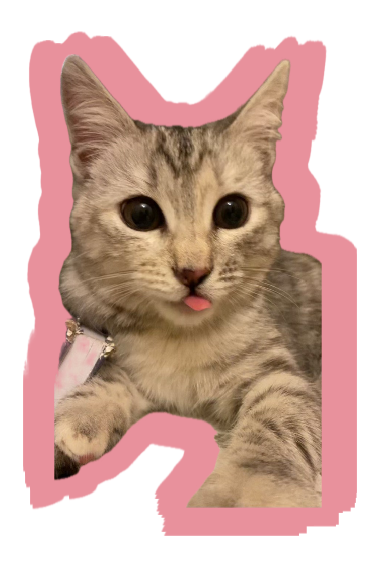 кот